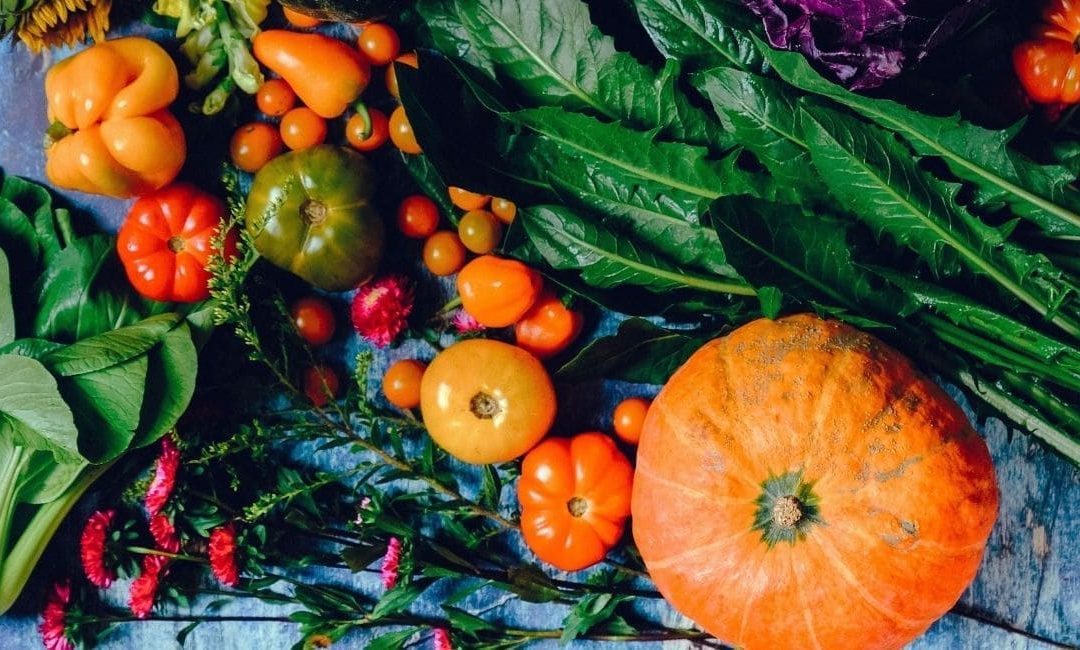 A agricultura familiar pode auxiliar adoção de hábitos escolares saudáveis?